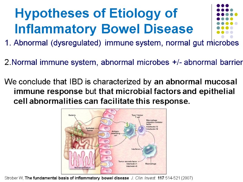 Hypotheses of Etiology of Inflammatory Bowel Disease Abnormal (dysregulated) immune system, normal gut microbes